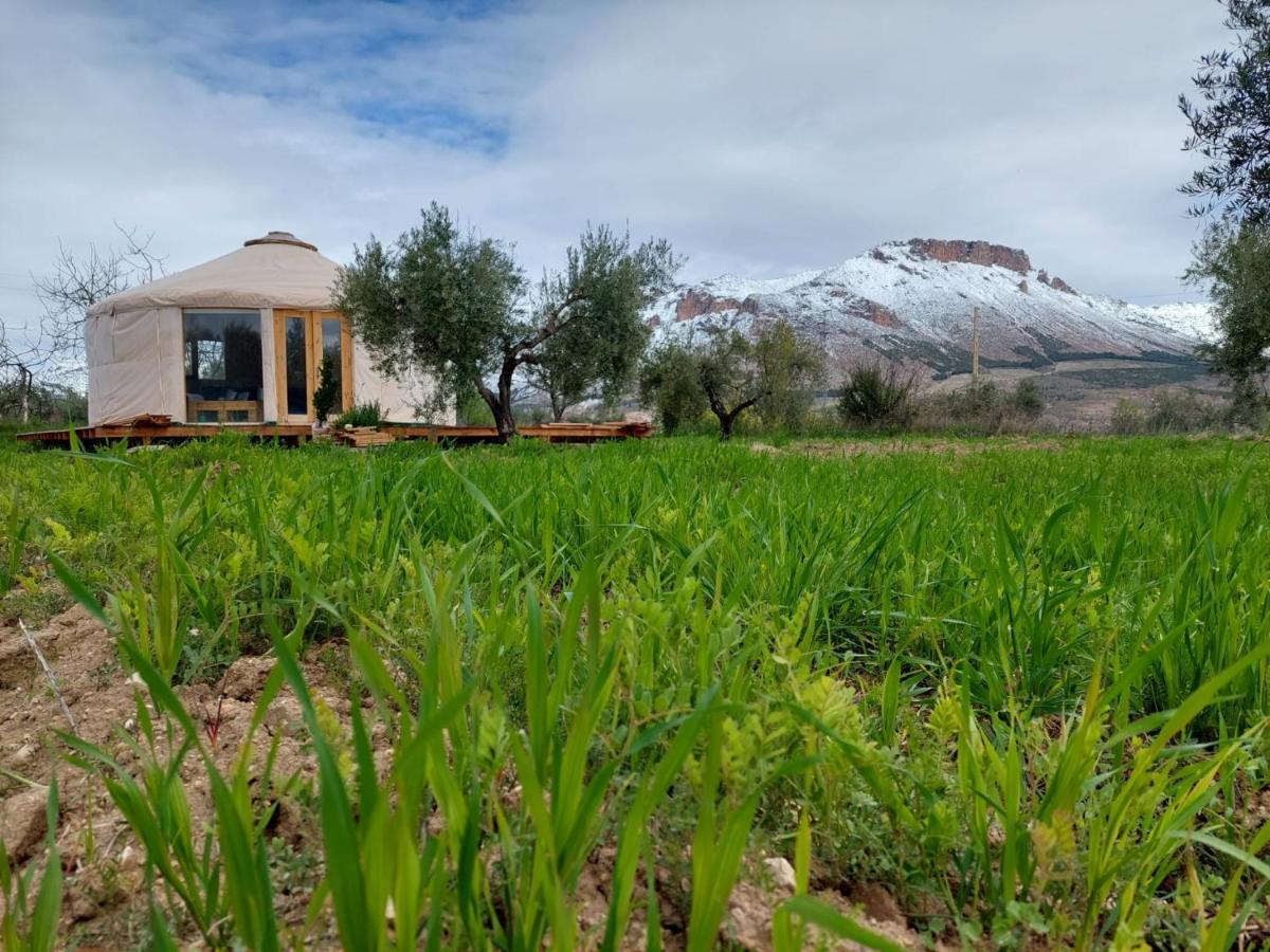 El Atico De La Casa Viva