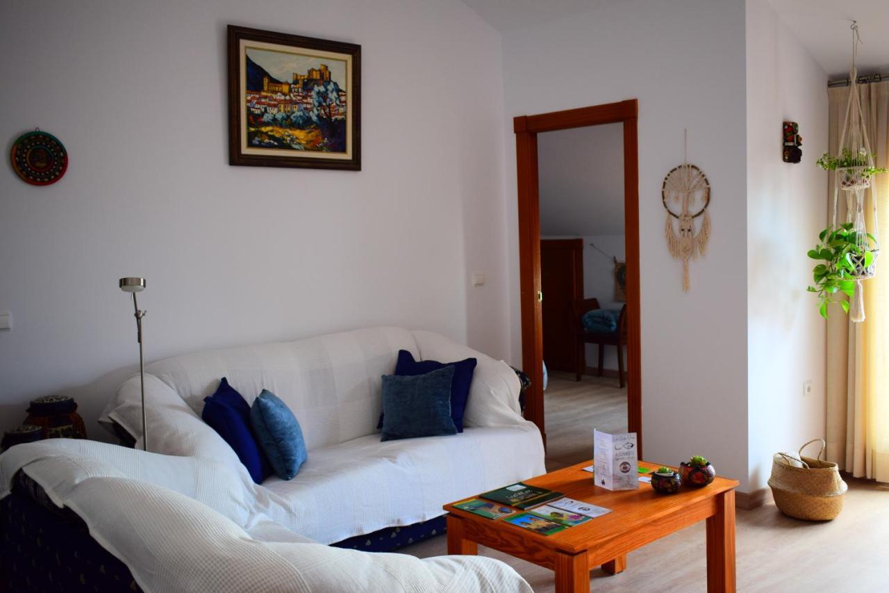 El Atico De La Casa Viva